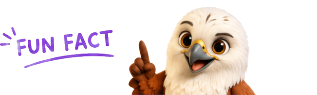 Fun fact: the Tidewing mascot, a Brahminy Kite
